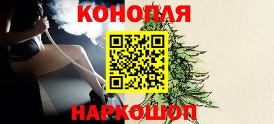 индика Жуковский
